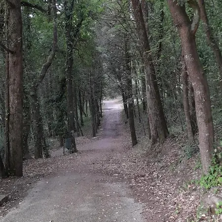 L'angolo Di Wanda *
